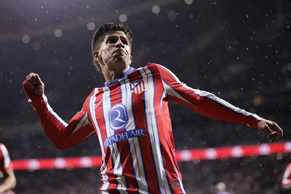 他们凭借不 他们凭借不