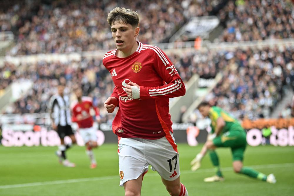 水户蜀葵 水户蜀葵